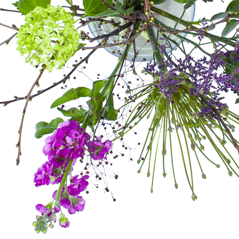 Boeket Biezen Middel - Afbeelding 2