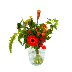 Boeket Herfst Uit Het Veld Groot