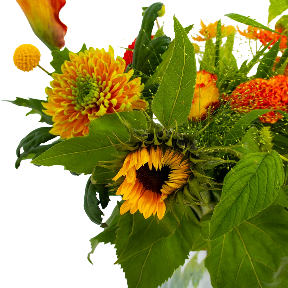 Boeket Herfst Uit Het Veld Klein - Afbeelding 4