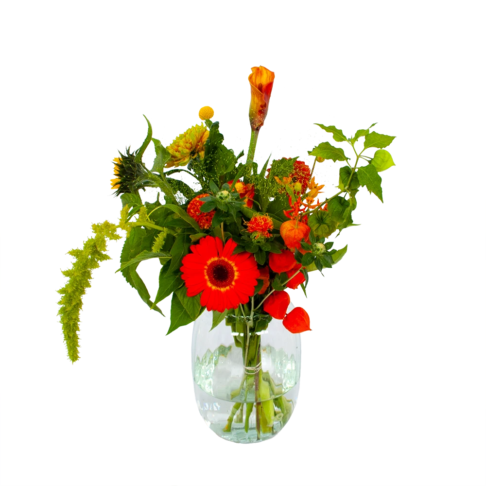 Boeket Herfst Uit Het Veld Middel