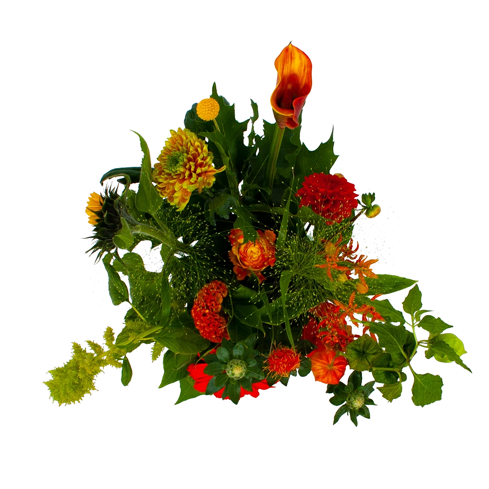 Boeket Herfst Uit Het Veld Middel - Afbeelding 2