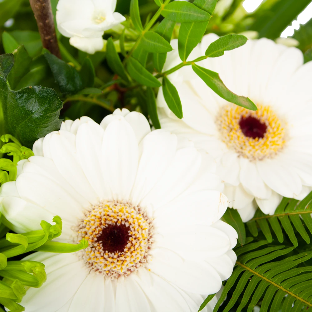 Boeket Liefdevolle Winter Groot - Afbeelding 2