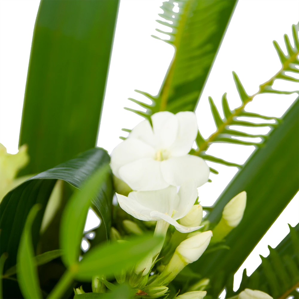 Boeket Liefdevolle Winter Groot - Afbeelding 3