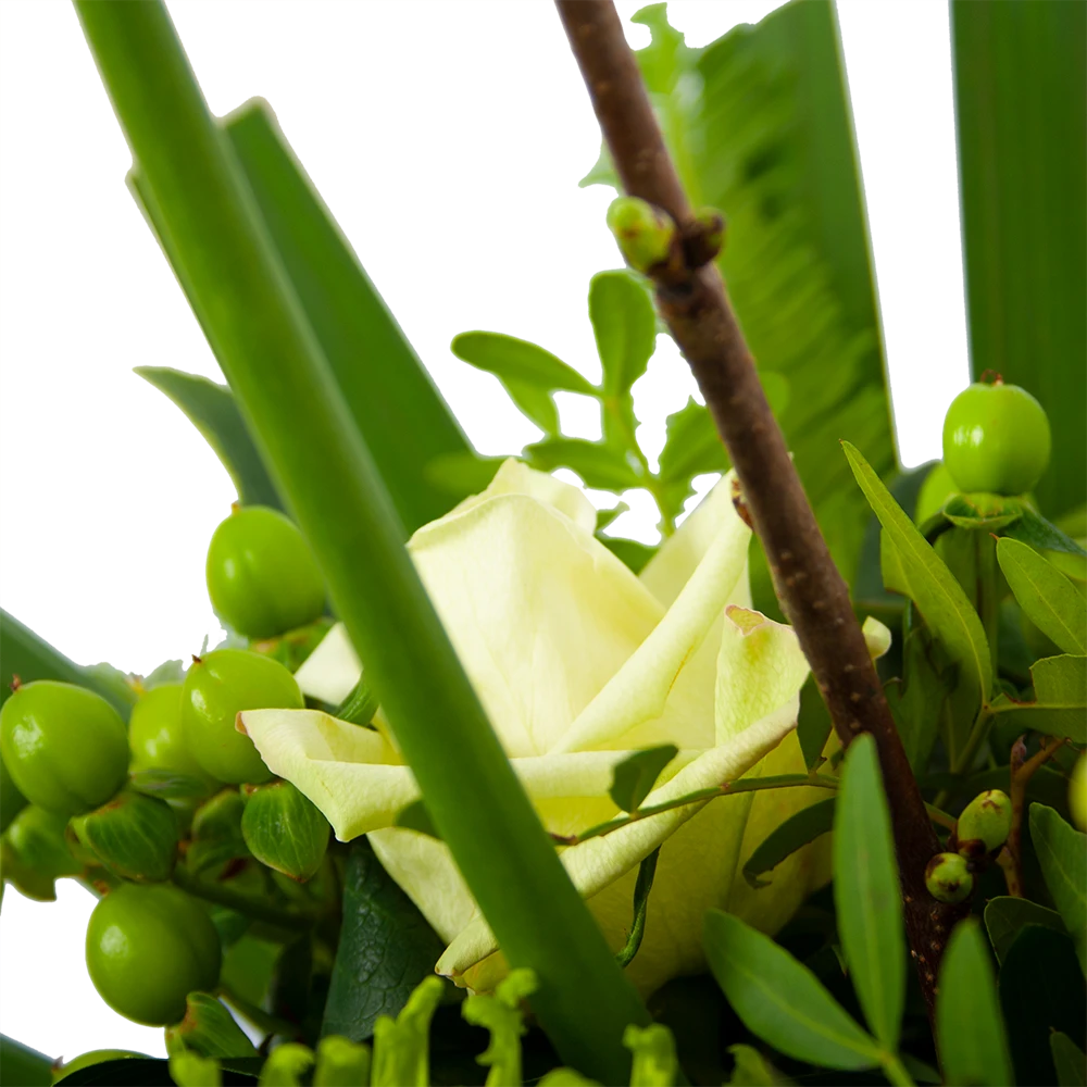 Boeket Liefdevolle Winter Groot - Afbeelding 4