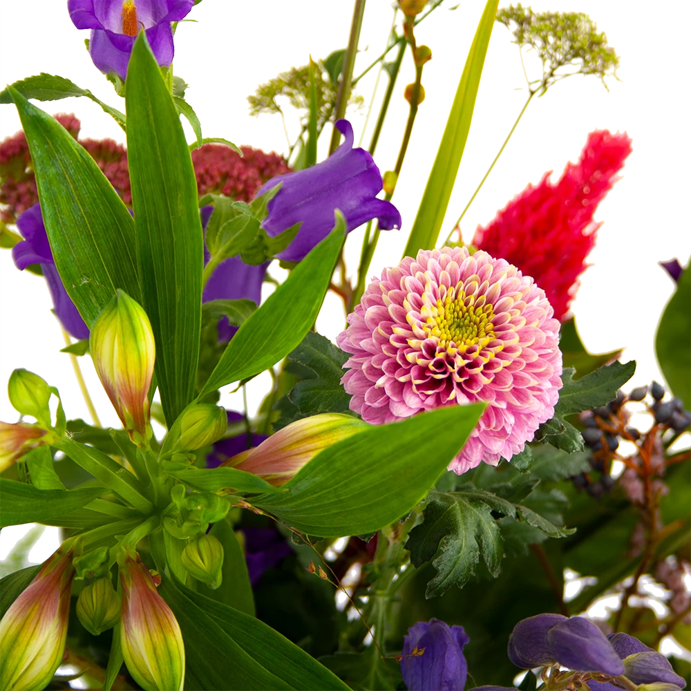 Boeket Paarse Passie Klein - Afbeelding 4