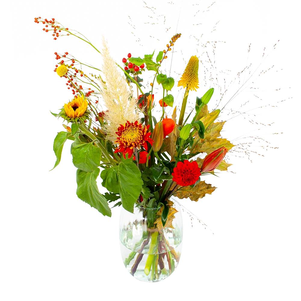 Boeket Pluim Van Het Najaar Klein