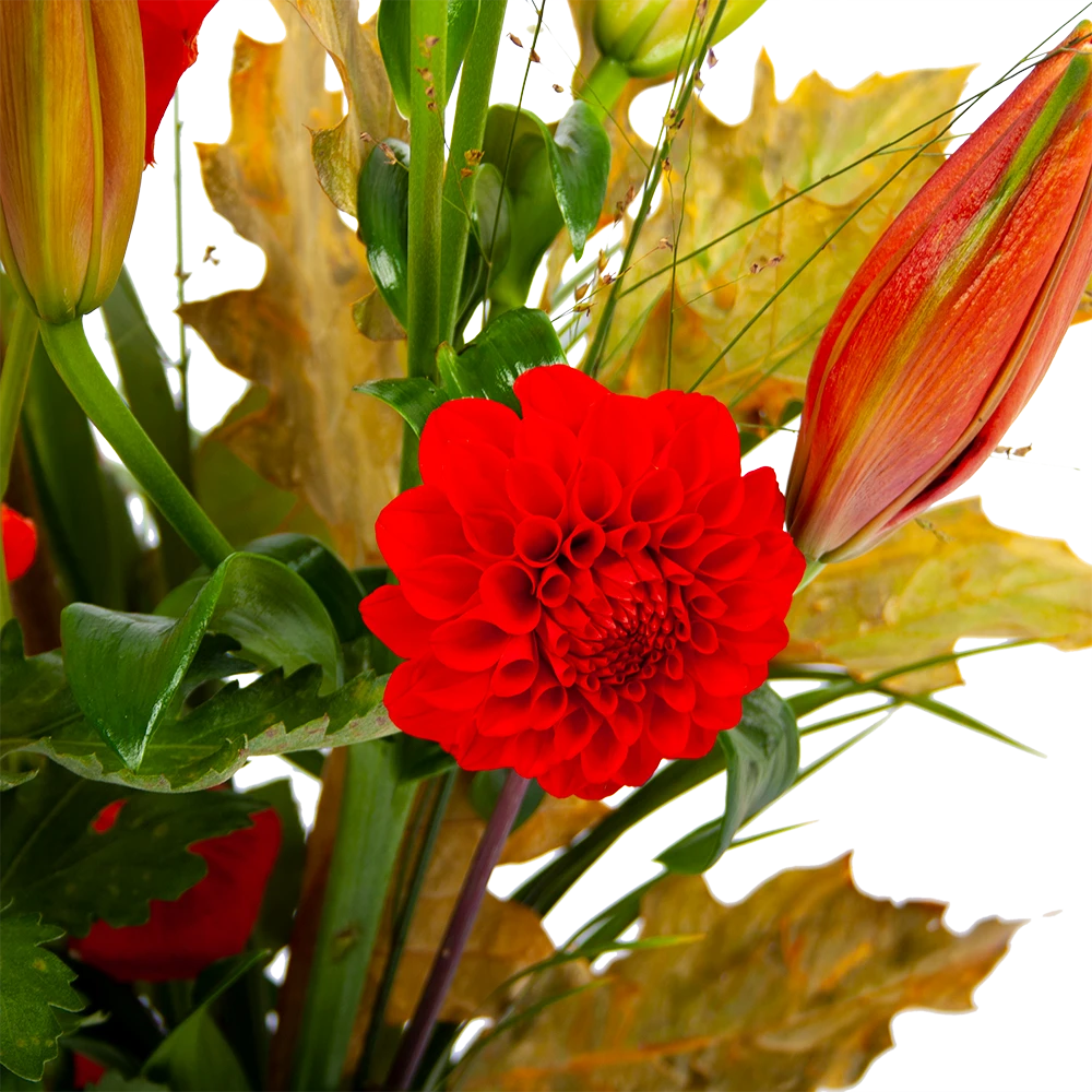 Boeket Pluim Van Het Najaar Klein - Afbeelding 3