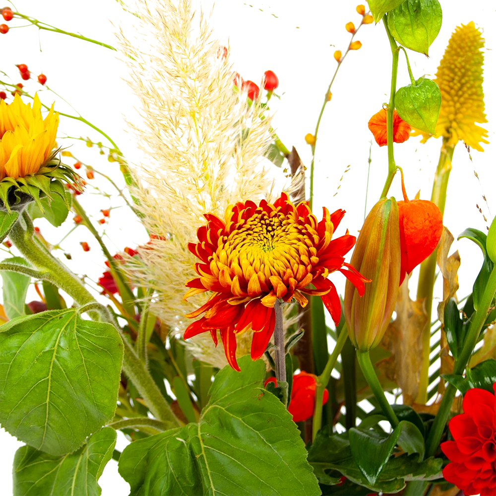 Boeket Pluim Van Het Najaar Klein - Afbeelding 4