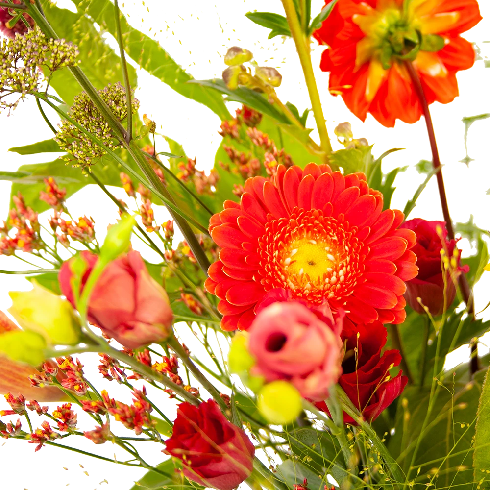 Boeket Plukgeluk Klein - Afbeelding 3