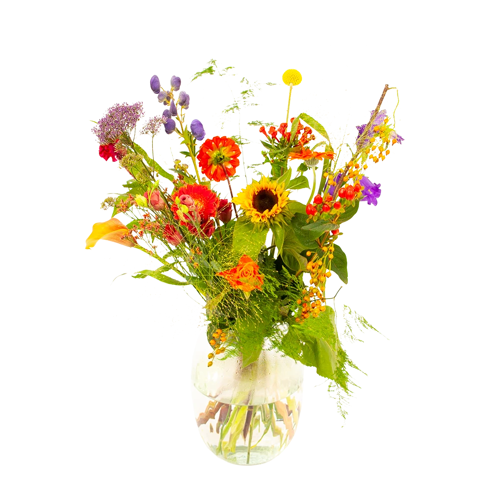 Boeket Plukgeluk Middel