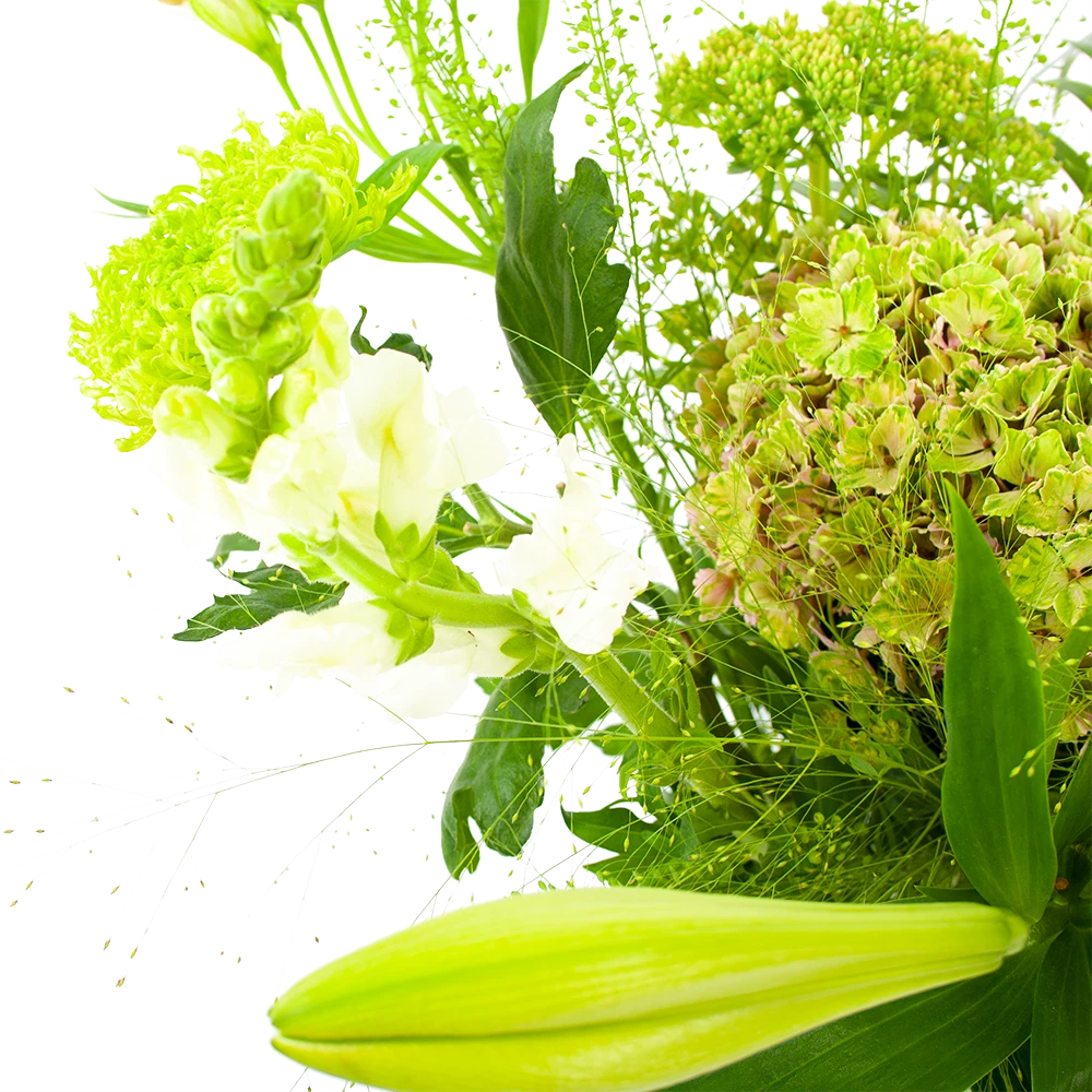 Boeket Puur Natuur Klein - Afbeelding 3