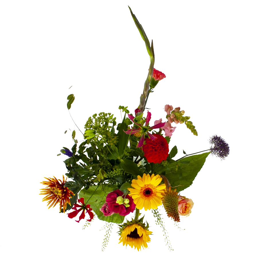 Boeket Vlinder Middel - Afbeelding 2