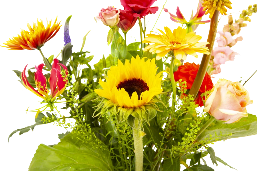 Boeket Vlinder Klein - Afbeelding 3