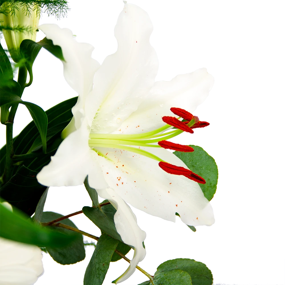 Boeket Witte Winter Groot - Afbeelding 4