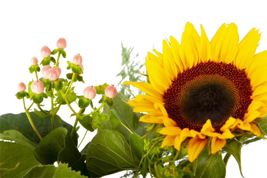 Boeket Zonnestraal Groot - Afbeelding 4