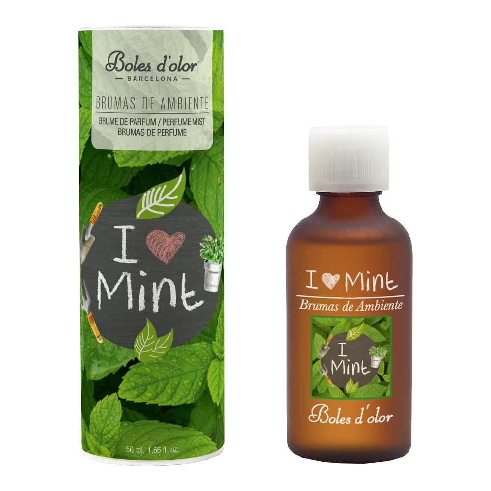 Geurolie I Love Mint 50ml - Boles D'olor