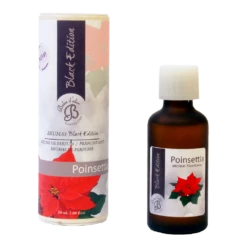 Geurolie Poinsettia (Kerstroos) 50ml - Boles D'olor