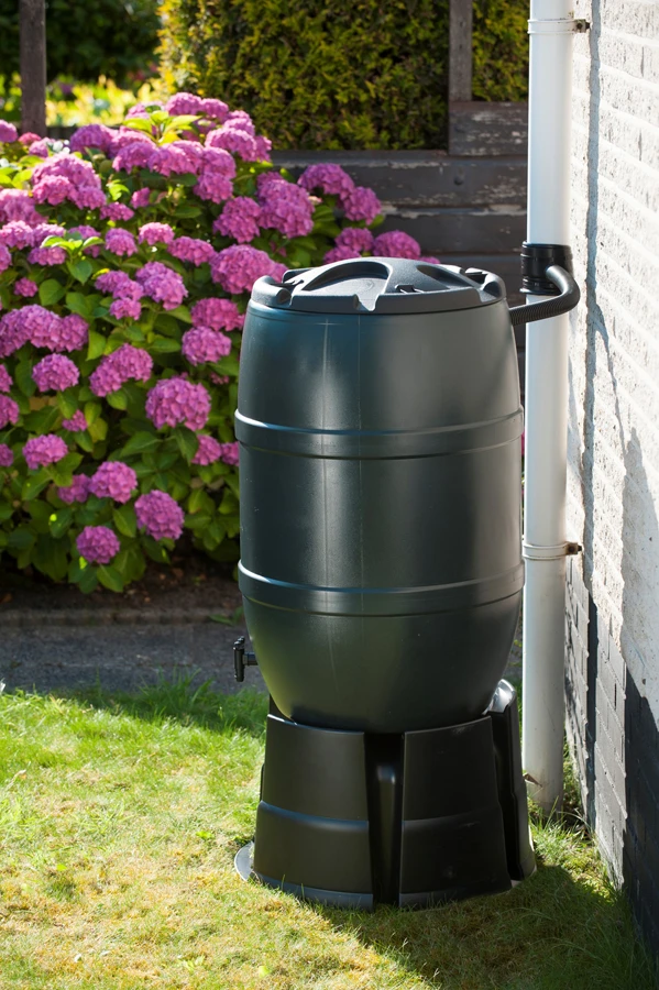 Regenton 120L Kunststof - Groen - H81xu00d850cm - Nature - Afbeelding 3