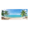 Tuinposter Strand Met Palmen - 110x45cm