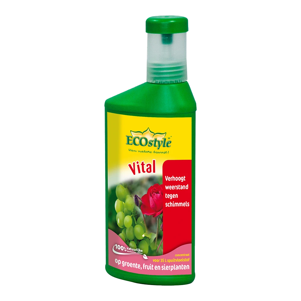 EcoStyle Vital Concentraat 250ml - Schimmels